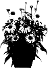 Echinacea%20plant%20named%20%27Hilmoooshin%27