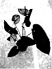 Anthurium%20andreanum%20L.%20%27ANTHIOWIR%27
