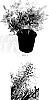 Grevillea%20hybrid%20%27Kings%20Celebration%27