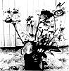 Helleborus%20x%20hybridus%20%27EPB%2030%27