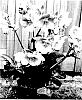 Helleborus%20x%20hybridus%20%27EPB%2025%27
