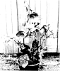 Helleborus%20x%20hybridus%20%27EPB%2012%27