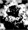 Verbena%20plant%20named%20%27VEAZ0034%27