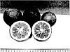 %5BCitrus%20reticulata%2FCitrus%20paradisi%2BCitrus%20grandis%5D%20x%20%5BCitrus%20aurantium%2BCitrus%20sinensis%2FPoncirus%20trifoliata%5D%20%27UFR-17%27