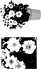 Dahlia%20variabilis%20%27G13518%27