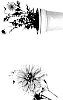 Dahlia%20variabilis%20%27G13532%27