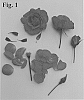 Rosa%20hybrid%20%27Poulcas049%27