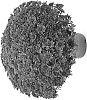 Chrysanthemum%20x%20morifolium%20%27Vega%20Red%27