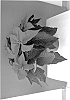 Euphorbia%20pulcherrima%20Willd.%20%27Bkponhr%27