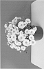 Argyranthemum%20frutescens%20%27SUN%20430%27