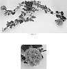 Verbena%20x%20hybrida%20%27Balendmag%27