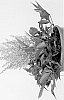 Astilbe%20arendsii%20%27Smile%20At%20Me%27