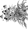 Echinacea%20hybrida%20%27POST301%27