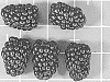 Rubus%20subgenus%20Rubus%20Watson%20%27APF-190T%27