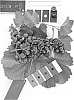 Vitis%20interspecific%20hybrid%20%27IFG%20Twenty-three%27