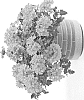 Verbena%20hybrida%20%27DVERDEPINK%27