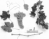 Vitis%20vinifera%20%27Sheegene%2027%27