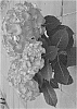 Hydrangea%20macrophylla%20%27HBA215908%27