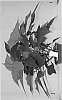Euphorbia%20pulcherrima%20Willd.%20%27Duepogranit%27