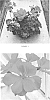 Pelargonium%20interspecific%20%27PEQZ0012%27