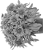 Gaillardia%20x%20grandiflora%20%27Bargaispinyel%27