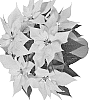 Euphorbia%20pulcherrima%20Willd.%20%27LAZZPO1315%27