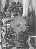 Hibiscus%20rosa-sinensis%20%27DUP-PTF%27