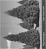 Thuja%20standishii%20x%20Thuja%20plicata%20%27Attapulgus%27