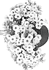 Petunia%20x%20hybrida%20%27Duepetsurwhiorch%27