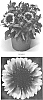 Gaillardia%20aristata%20%27GAIZ0007%27