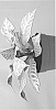 Aphelandra%20squarrosa%20%27White%20Wash%27