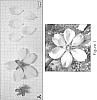 Prunus%20dulcis%20%27CAPELLA%27