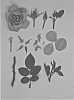 Rosa%20hybrida%20%27KORpot066%27
