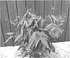 Epimedium%20sp.%20nov.%20%27Ninja%20Stars%27