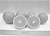 Citrus%20sinensis%20%27Florida%20EV1%27