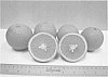 Citrus%20sinensis%20%27Florida%20EV1%27