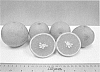 Citrus%20sinensis%20%27Florida%20EV2%27