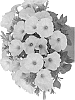 Petunia%20X%20hybrida%20%27Dopetbapin%27