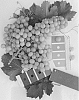 Vitis%20interspecific%20hybrid%20%27IFG%20Twenty-eight%27