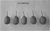 Kiwi%20plant%20named%20%27Cristal%27