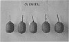 Kiwi%20plant%20named%20%27Cristal%27