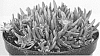 Delosperma%20cooperi%20%27DE18-152%27