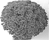Chrysanthemum%20X%20morifolium%20%27LANO%20PURPLE%27