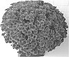 Chrysanthemum%20X%20morifolium%20%27LANO%20PURPLE%27