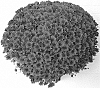 Chrysanthemum%20X%20morifolium%20%27COMO%20RED%27