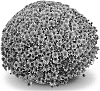 Chrysanthemum%20X%20morifolium%20%27Aduro%20Bronze%27