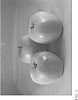 Malus%20domestica%20%27ZOUK%2031%27