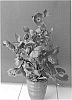 Helleborus%20plant%20named%20%27COSEH%204600%27