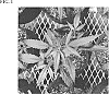 Cannabis%20sativa%20L.%20%27CW2A%27