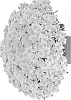 Chrysanthemum%20X%20morifolium%20%27G19FON04YE%27